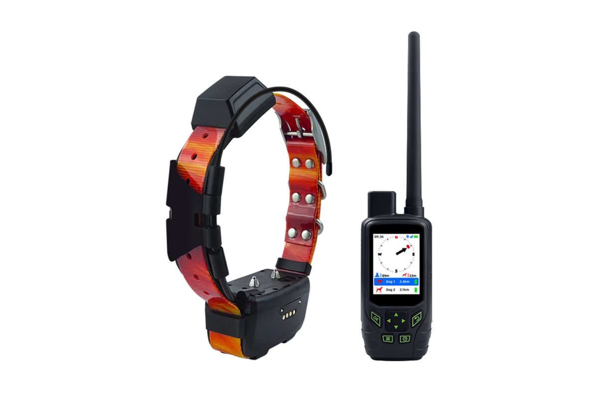 Ошейники с GPS для собак от ARTELV