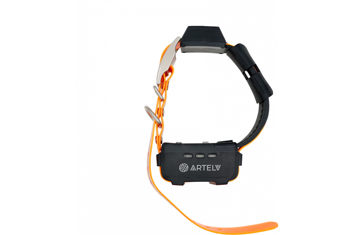 Дополнительный GPS-ошейник ARTELV COLLAR